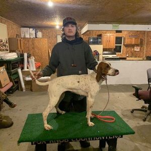 Meet your Posher, Roger